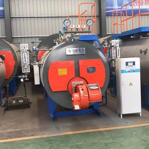 平果燃?xì)鉄崴仩t 廠家直銷，品質(zhì)可靠，價(jià)格實(shí)惠